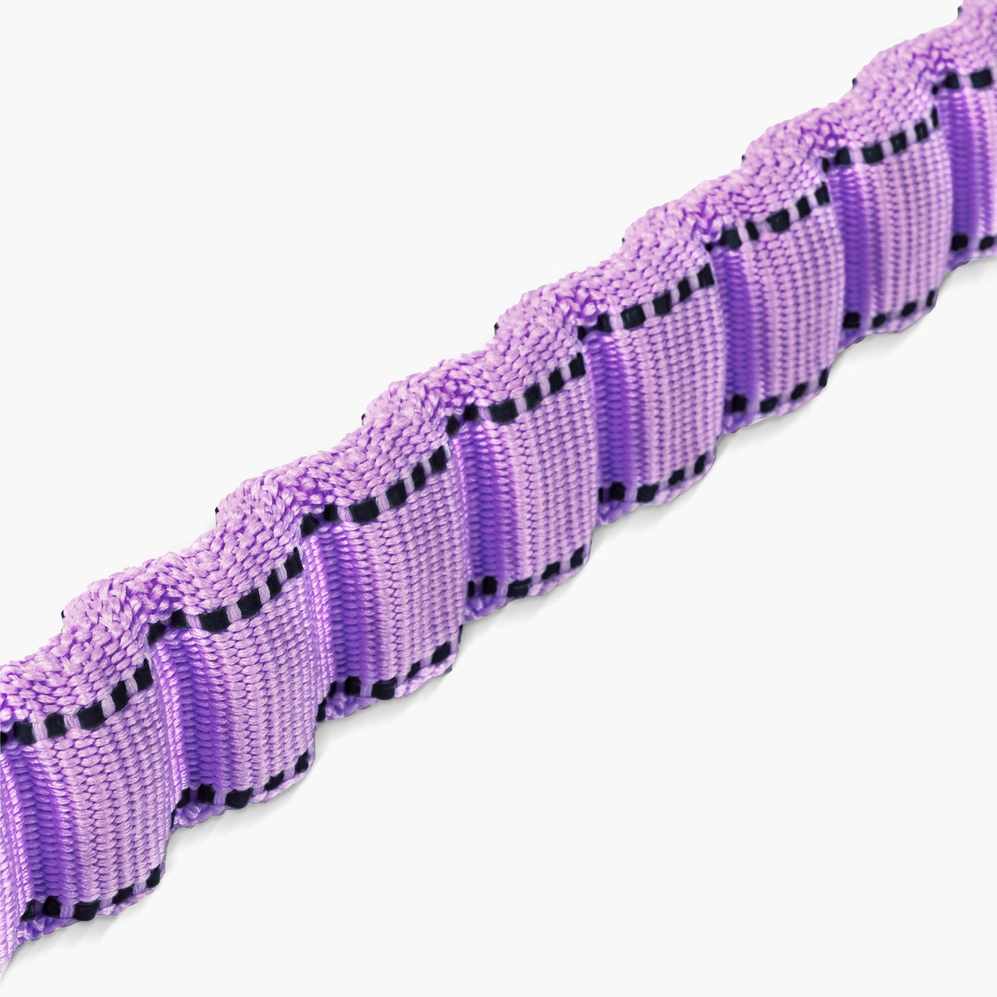 Bungee Dog Leash - Purple