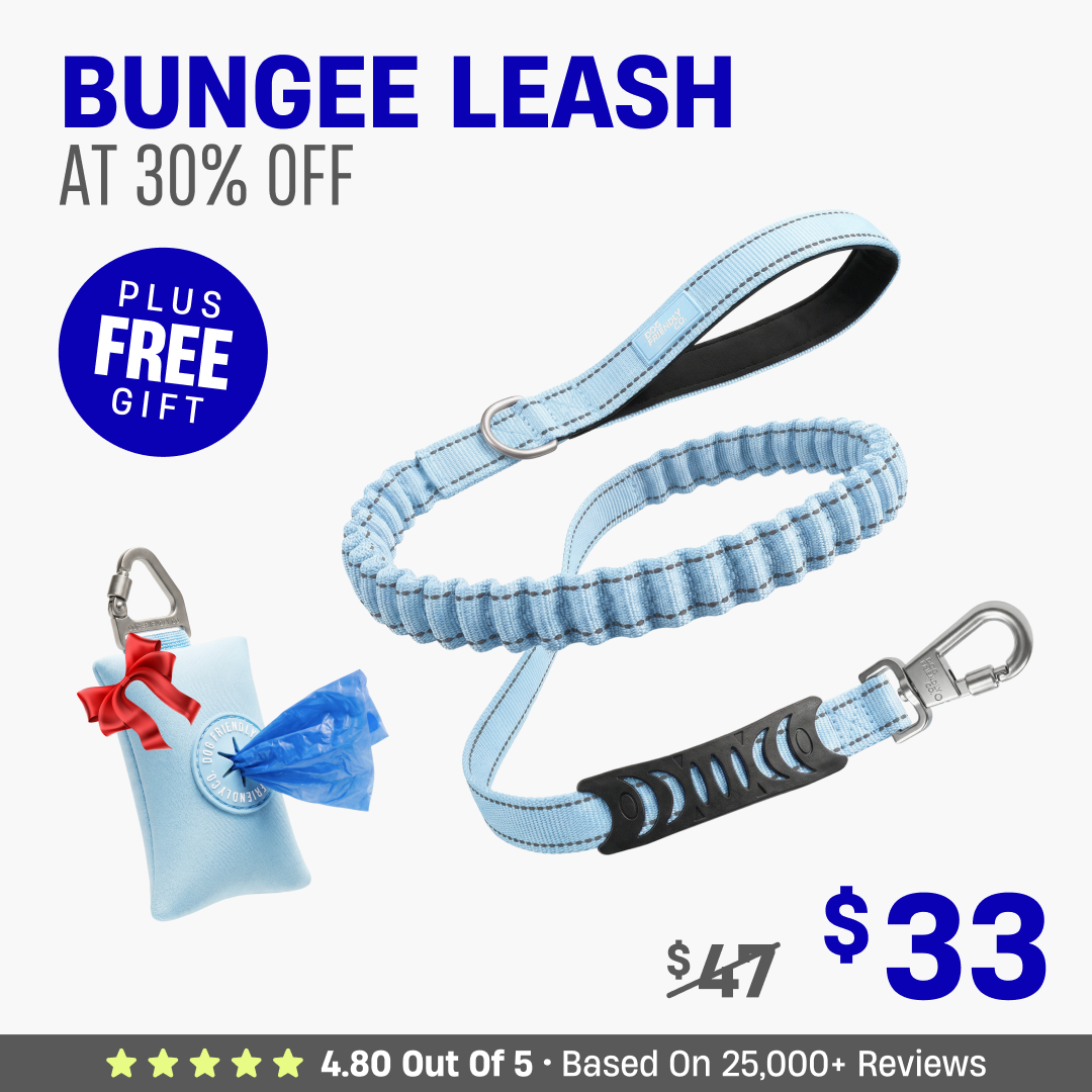 Get Leash at 30% OFF + FREE Poop Bag Holder