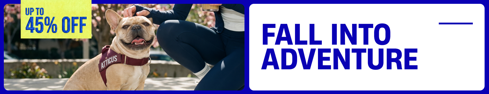 Promotional banner