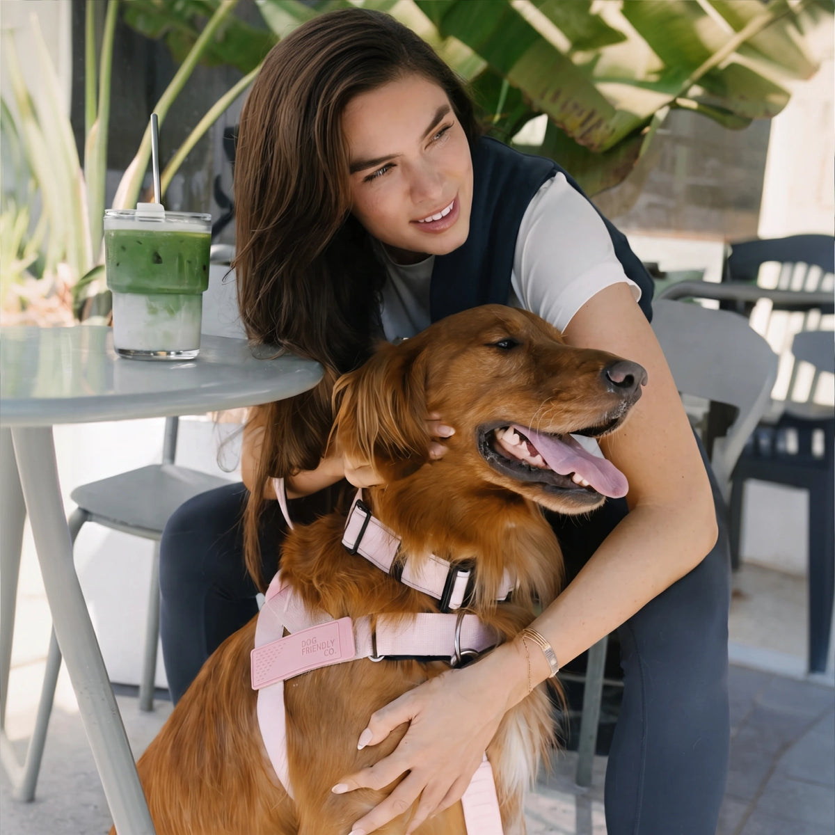 Woman hugging a golden retriever wearing the Sakura harness at a cafe