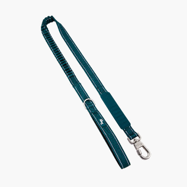 Bungee dog leash from the 7AM Club Limited Edition in Forest (deep green)