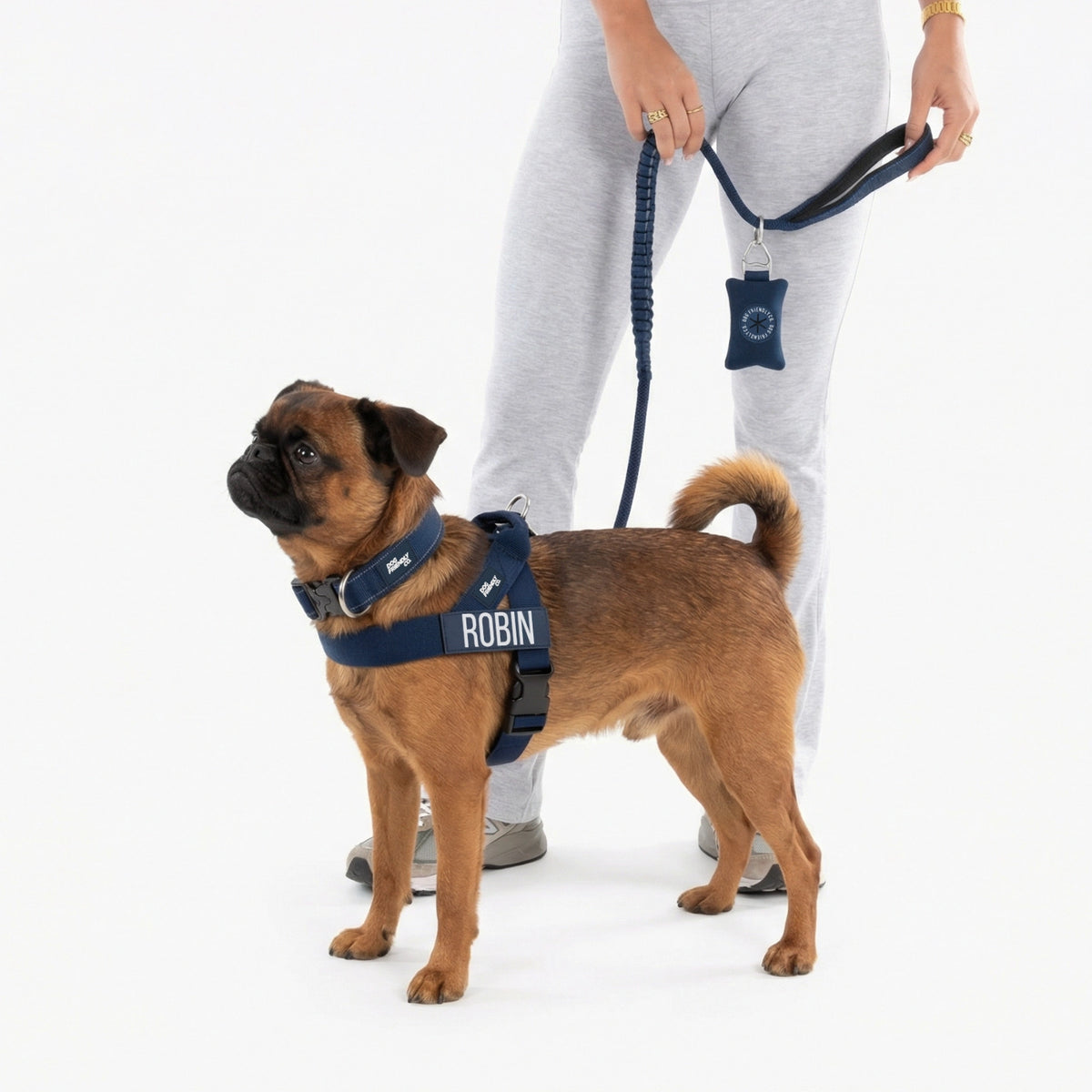 Dog wearing full Navy blue kit with bungee dog leash.
