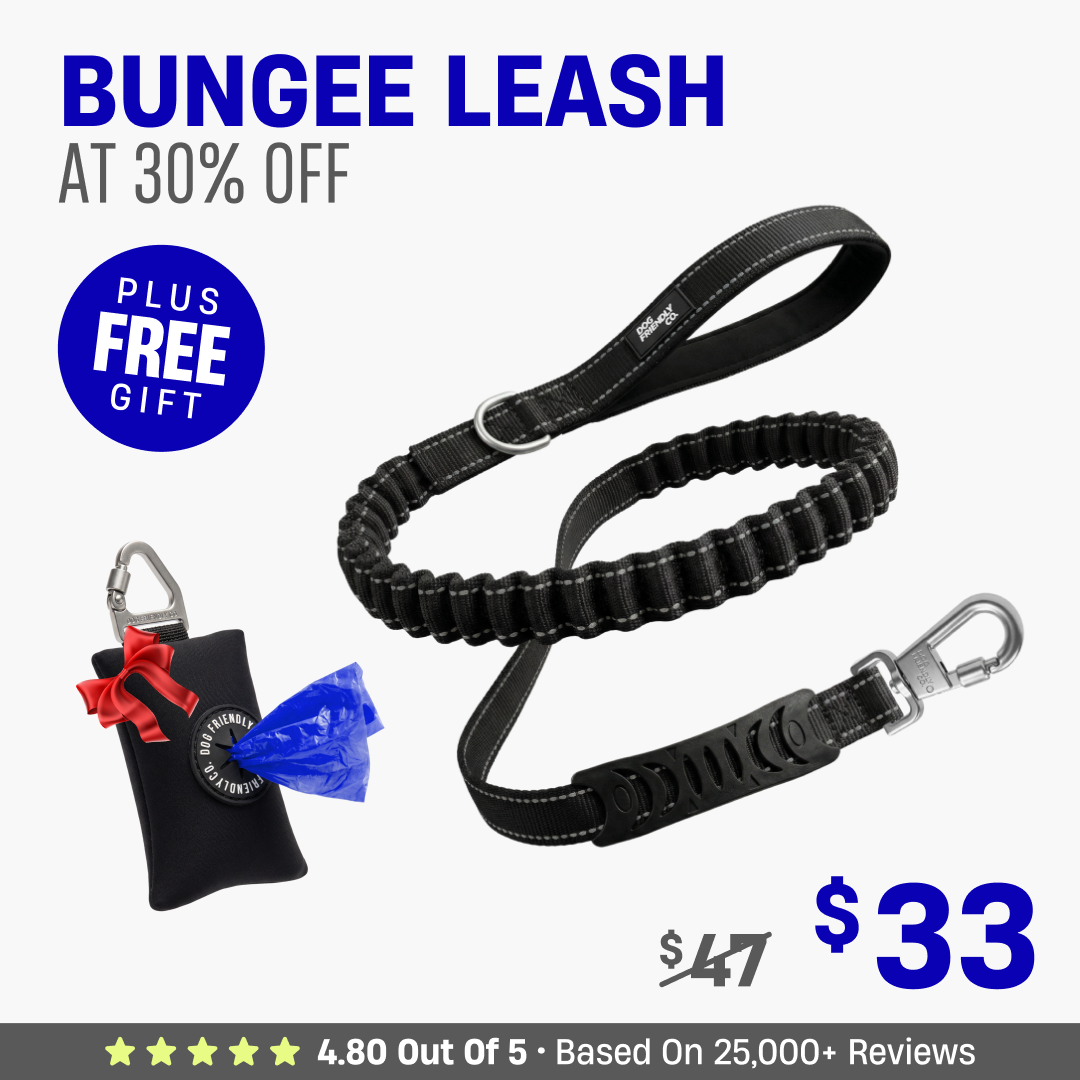 Get Leash at 30% OFF + FREE Poop Bag Holder