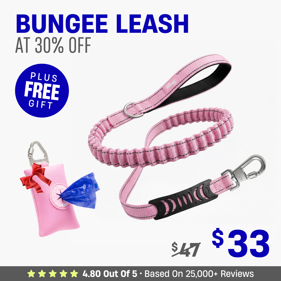 Get Leash at 30% OFF + FREE Poop Bag Holder