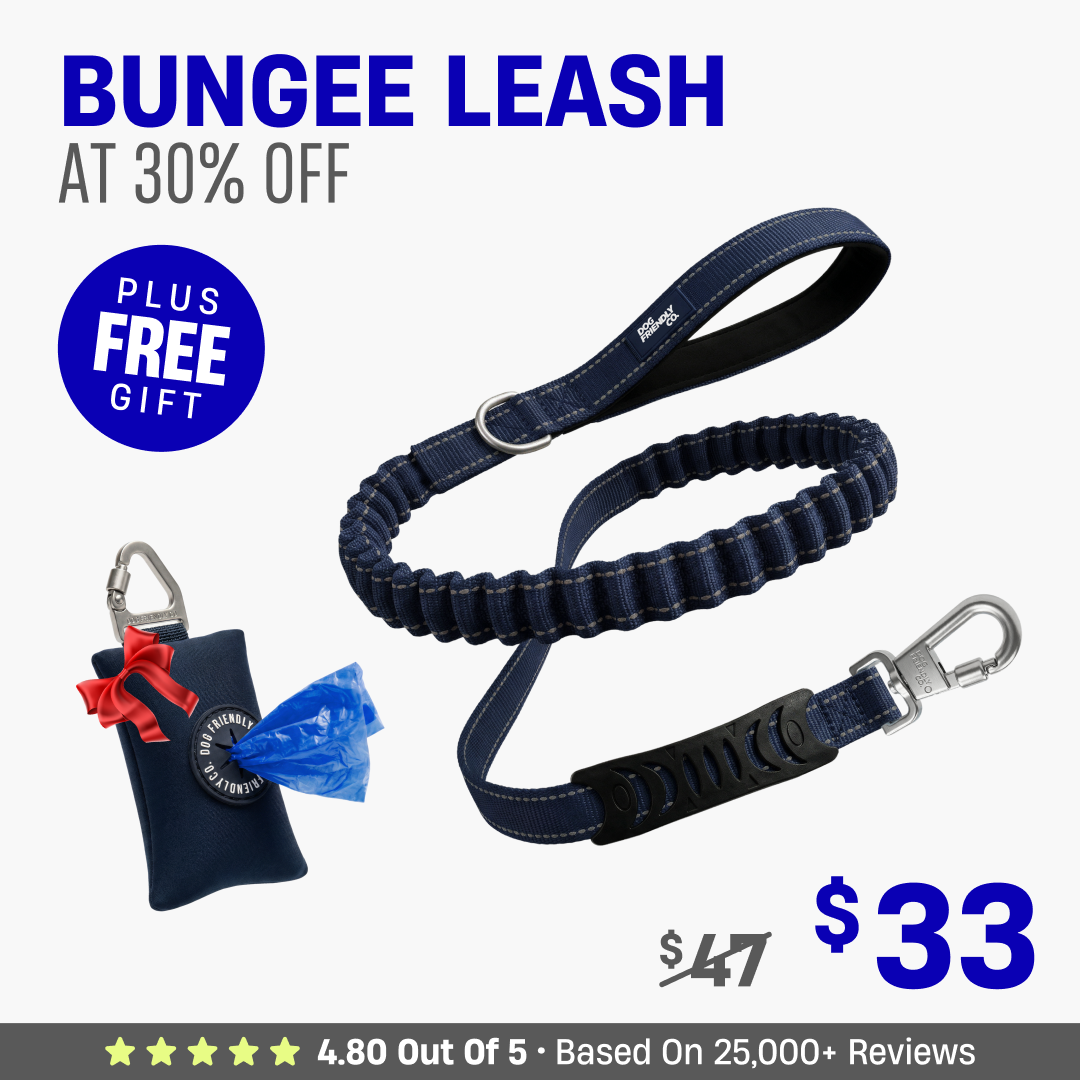 Get Leash at 30% OFF + FREE Poop Bag Holder