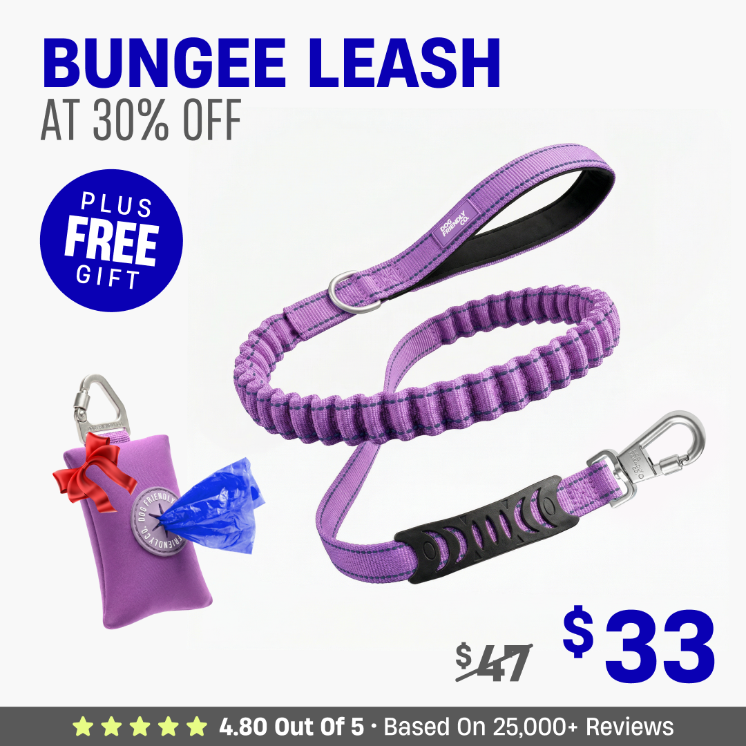 Get Leash at 30% OFF + FREE Poop Bag Holder