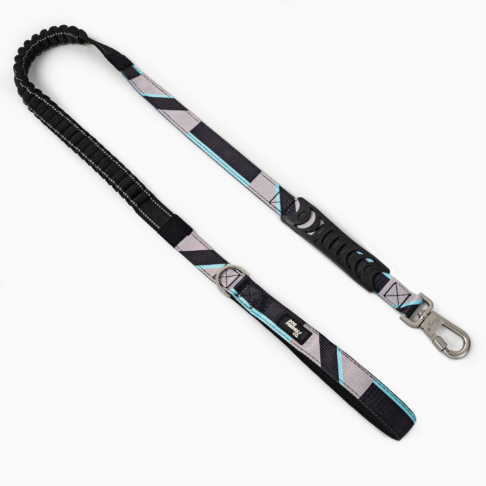 Collar Walk Set - Limited Edition Blue