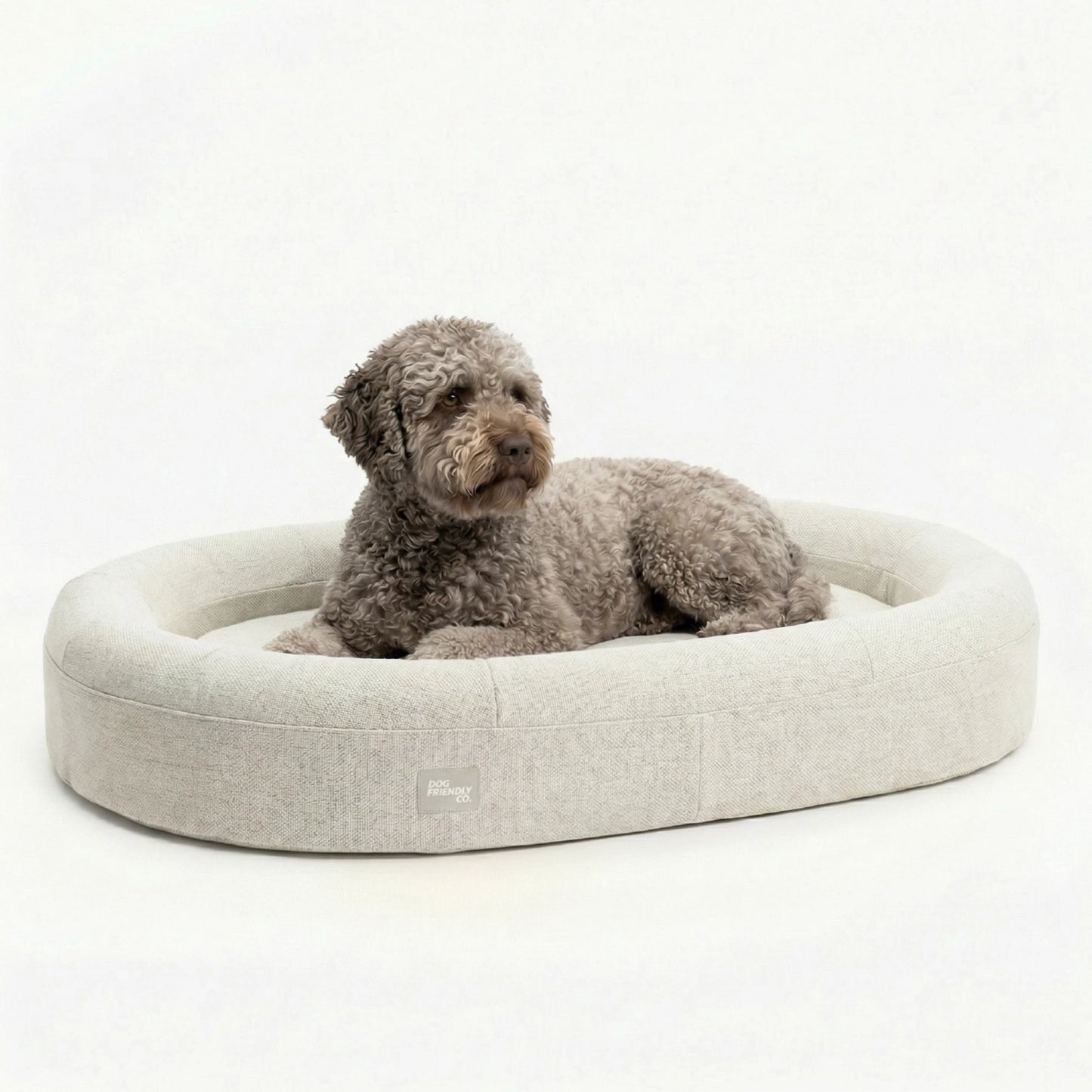 Chill Pill Memory Foam Dog Bed - Beige (Small)