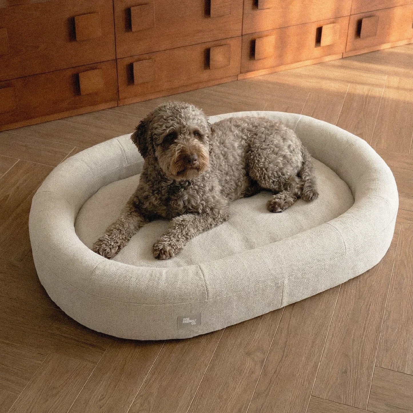 Chill Pill Memory Foam Dog Bed - Beige (Small)