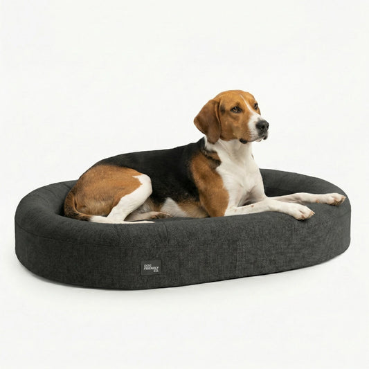 Chill Pill Memory Foam Dog Bed - Charcoal (Small)