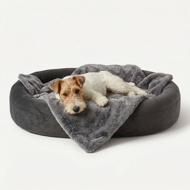 Chill Pill Memory Foam Dog Bed - Charcoal (Large)