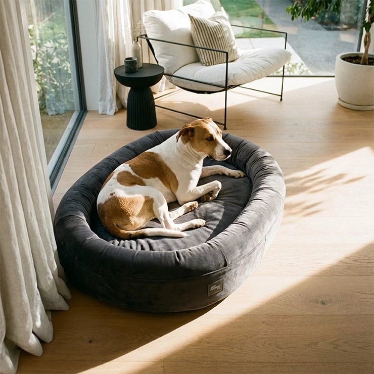Chill Pill Memory Foam Dog Bed - Charcoal (Large)