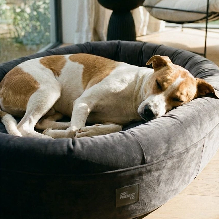 Chill Pill Memory Foam Dog Bed - Charcoal (Large)