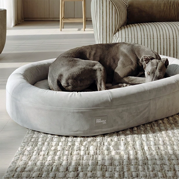 Chill Pill Memory Foam Dog Bed - Grey (Small)