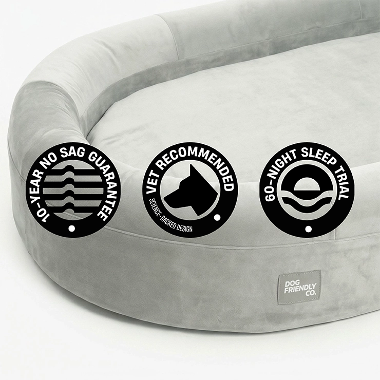 Chill Pill Memory Foam Dog Bed - Grey (Large)