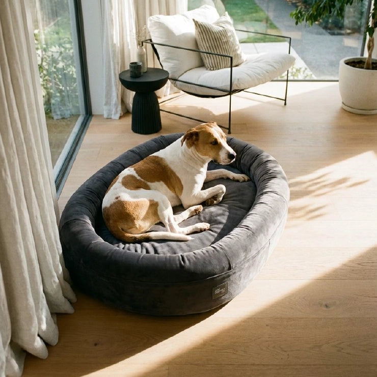 Chill Pill Velvet Easy Fit Cover