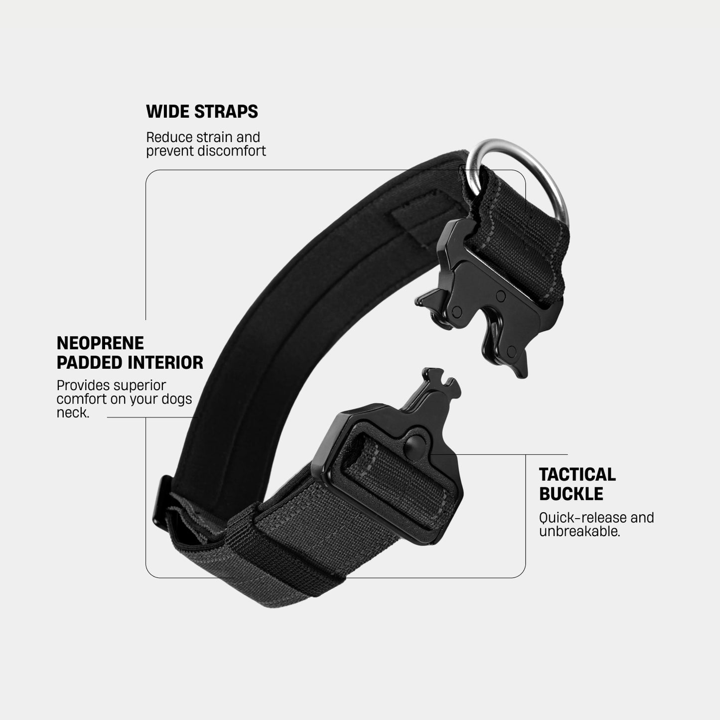 Collar Walk Set - Black