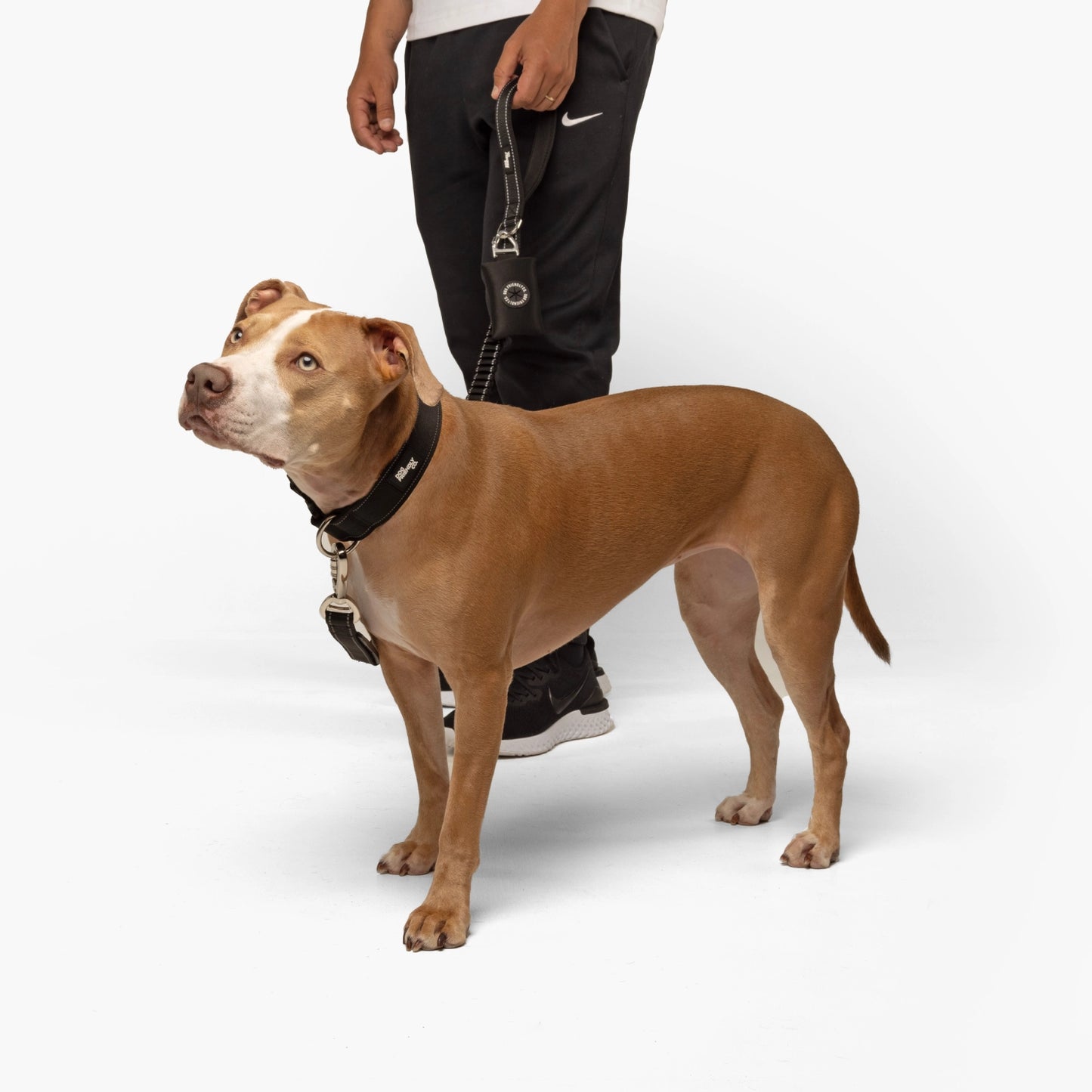 Collar Walk Set - Black