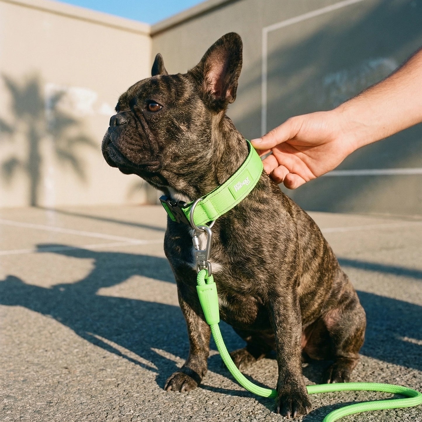 Tactical Dog Collar - Neon Green