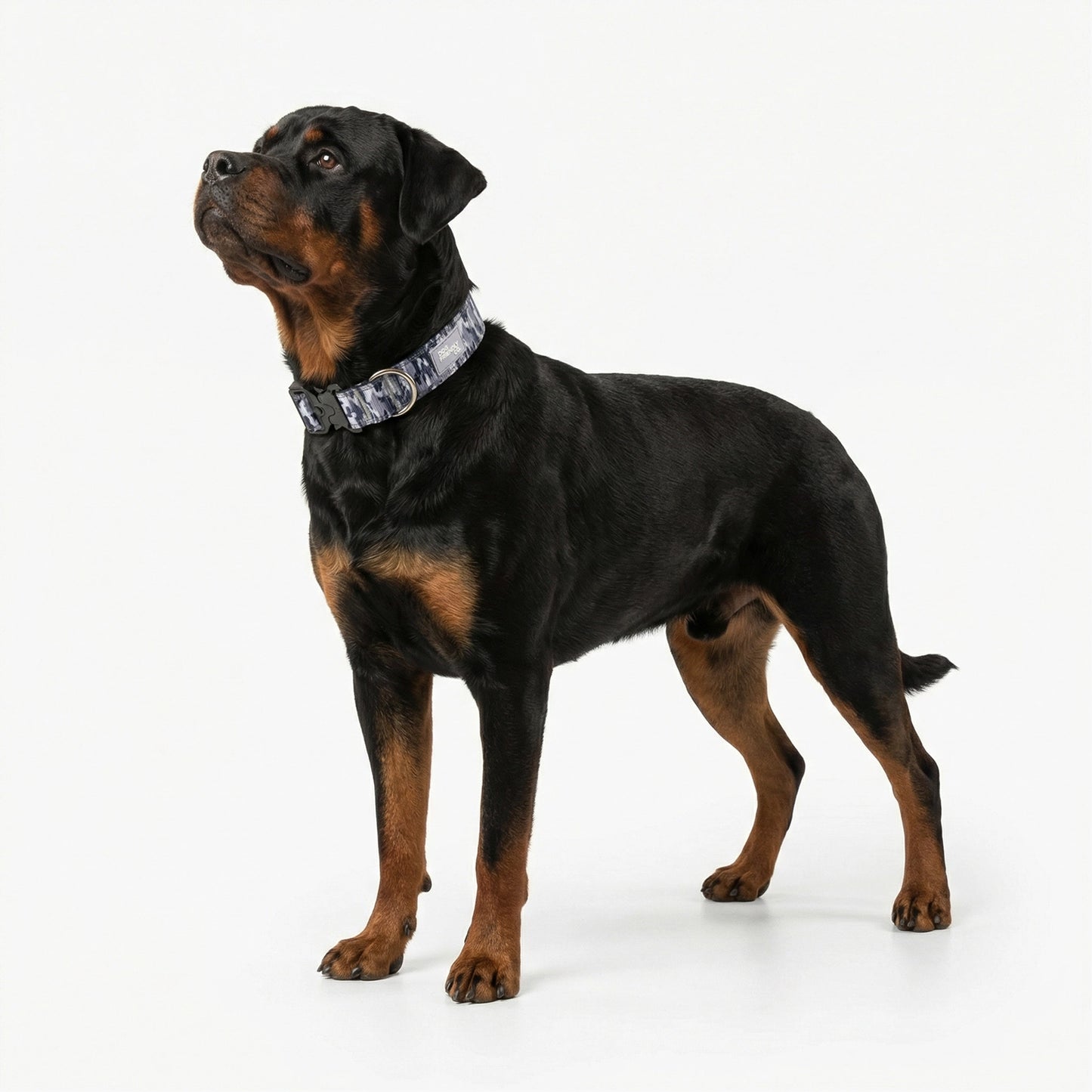 Tactical Dog Collar - Grey Camo