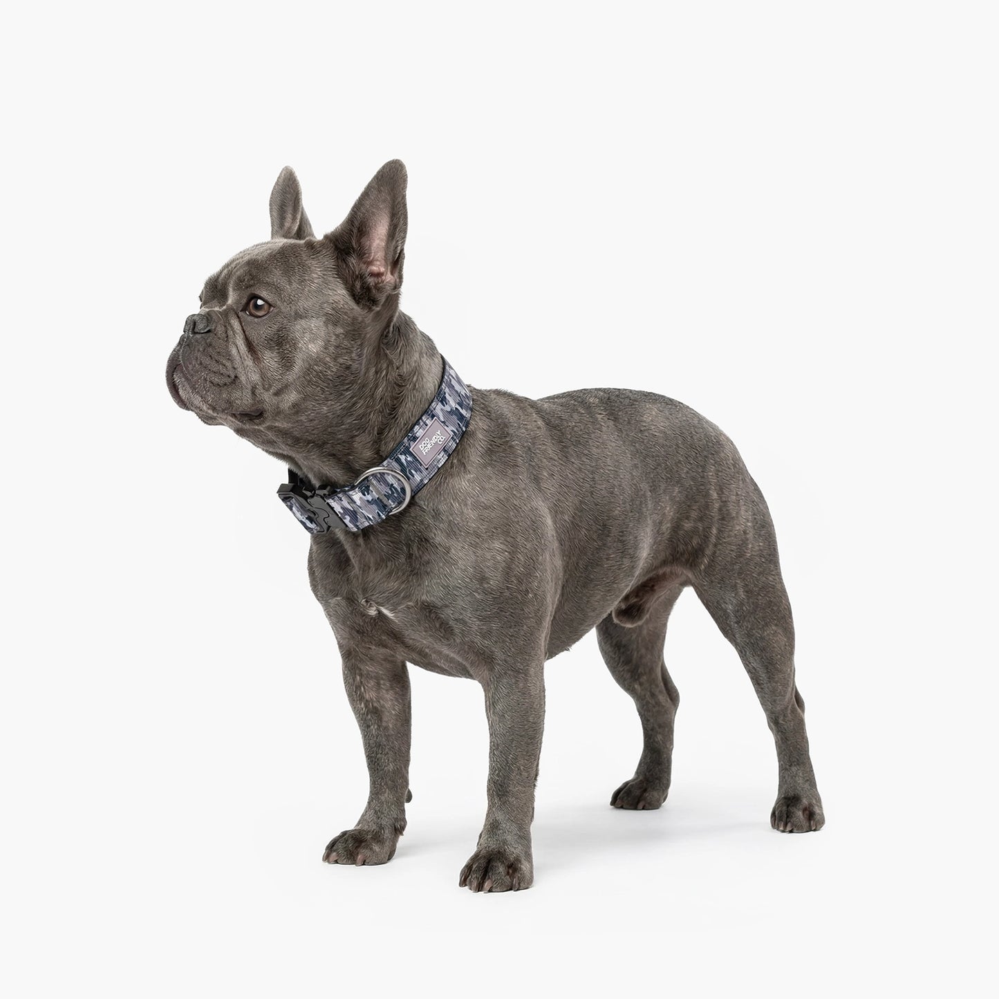 Tactical Dog Collar - Grey Camo