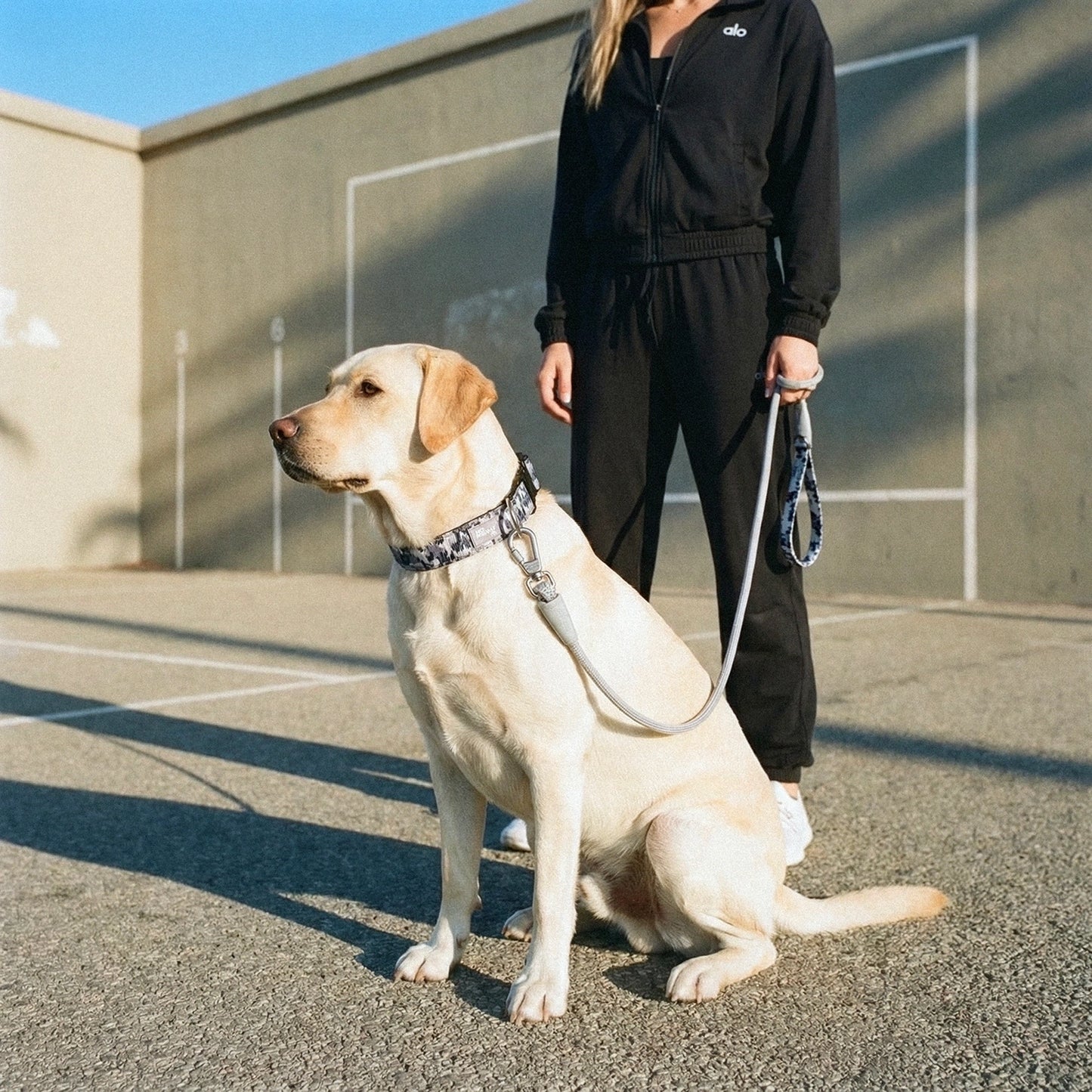 Tactical Dog Collar - Grey Camo
