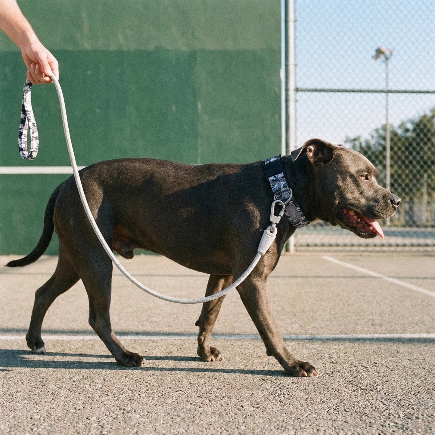 Tactical Dog Collar - Grey Camo