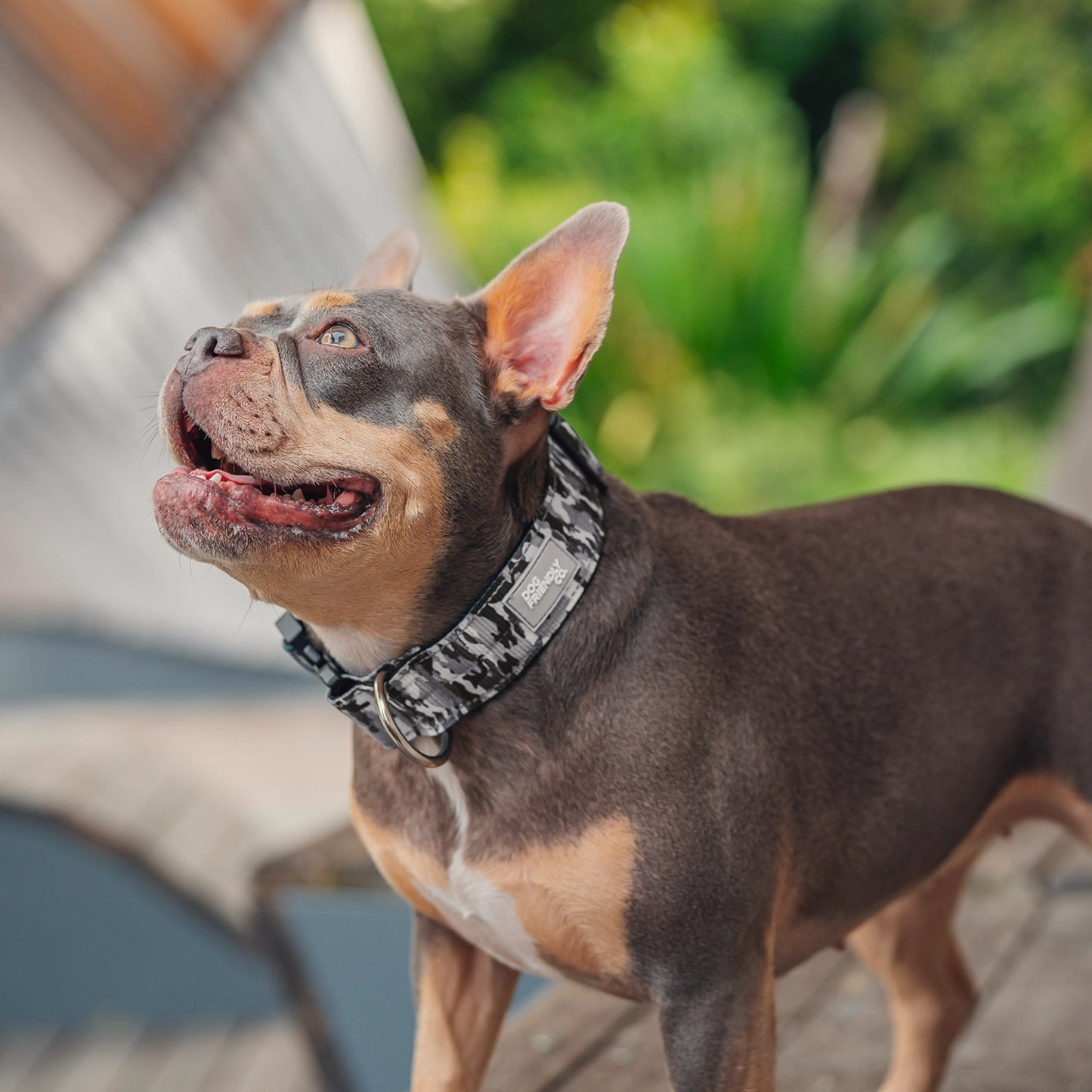 Tactical Dog Collar - Grey Camo