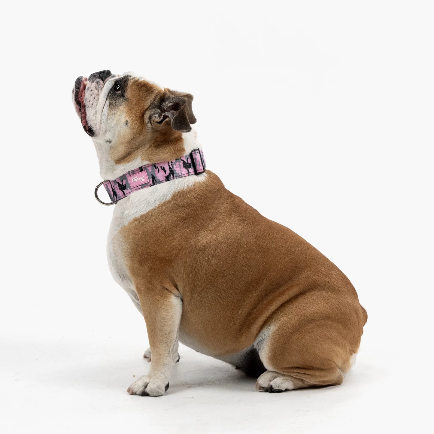 Tactical Dog Collar - Pink Camo