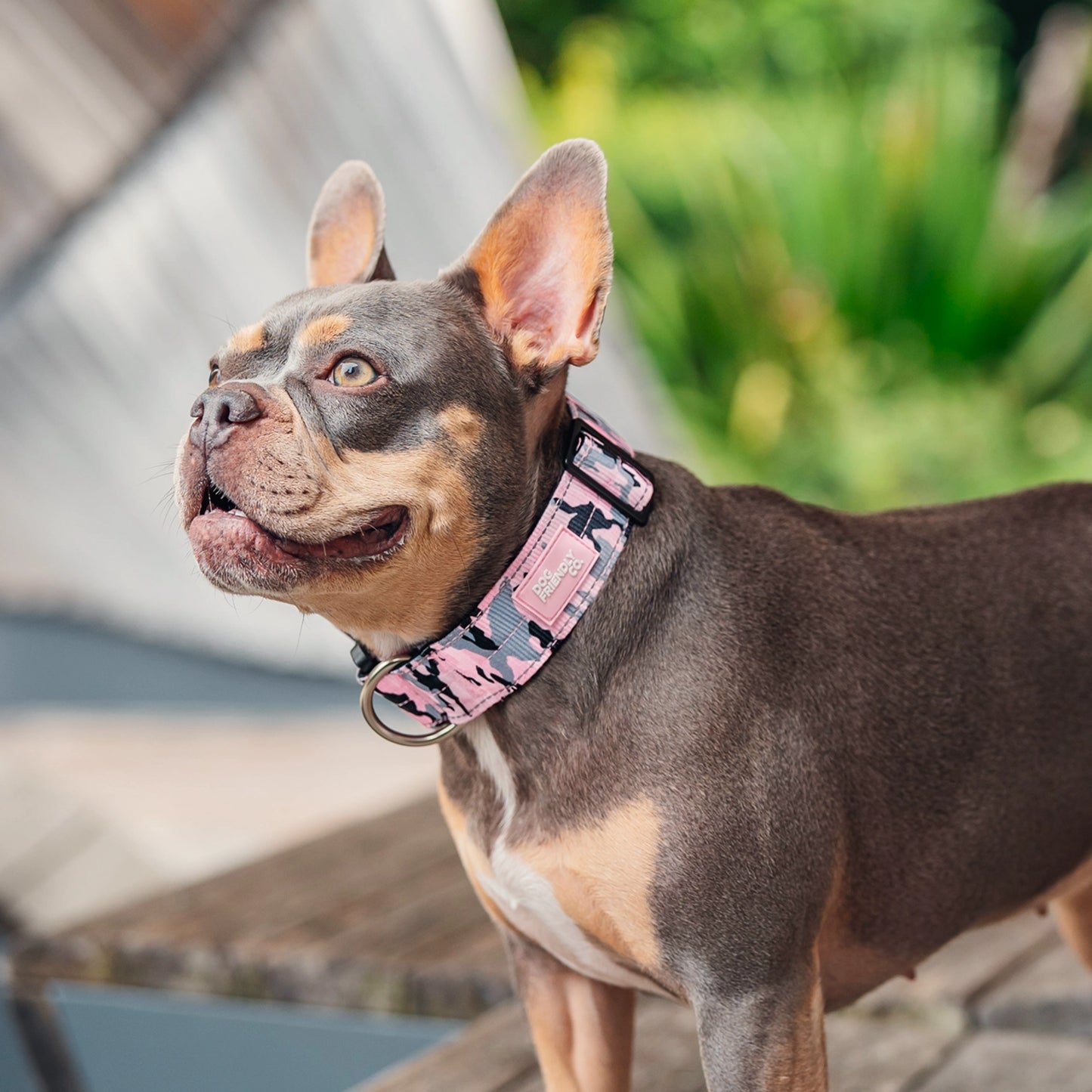 Tactical Dog Collar - Pink Camo