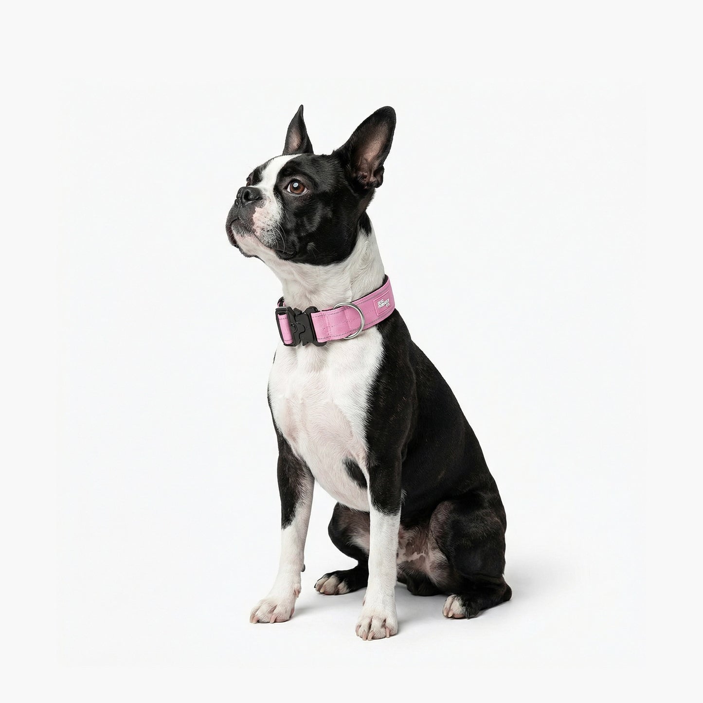 Tactical Dog Collar - Pink
