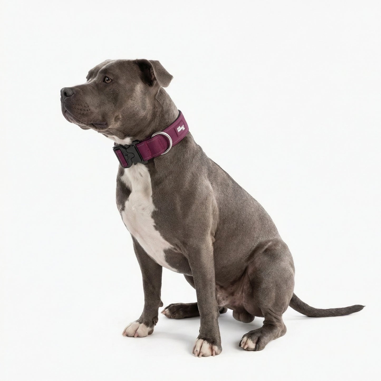 Tactical Dog Collar - Burgundy