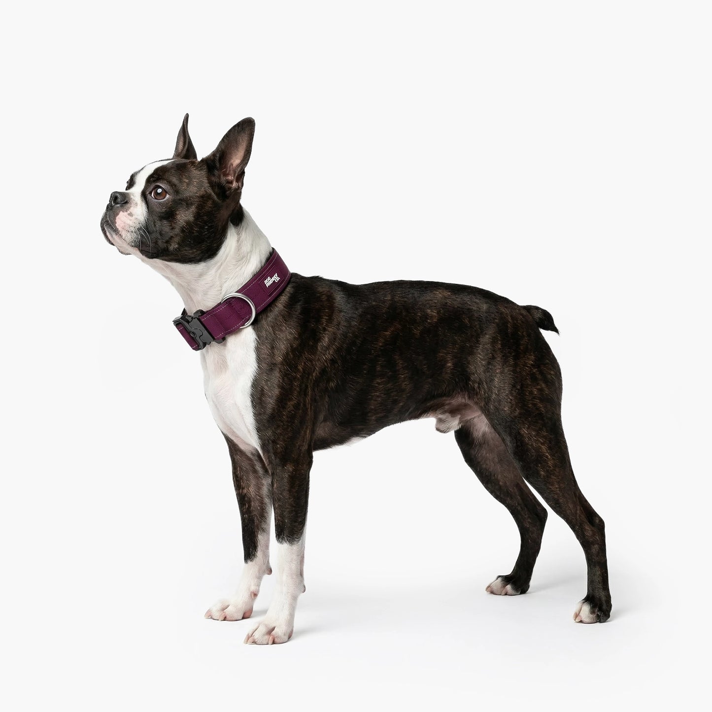 Tactical Dog Collar - Burgundy