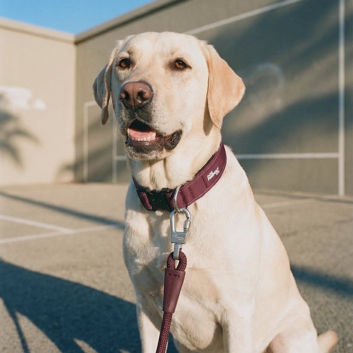 Tactical Dog Collar - Burgundy
