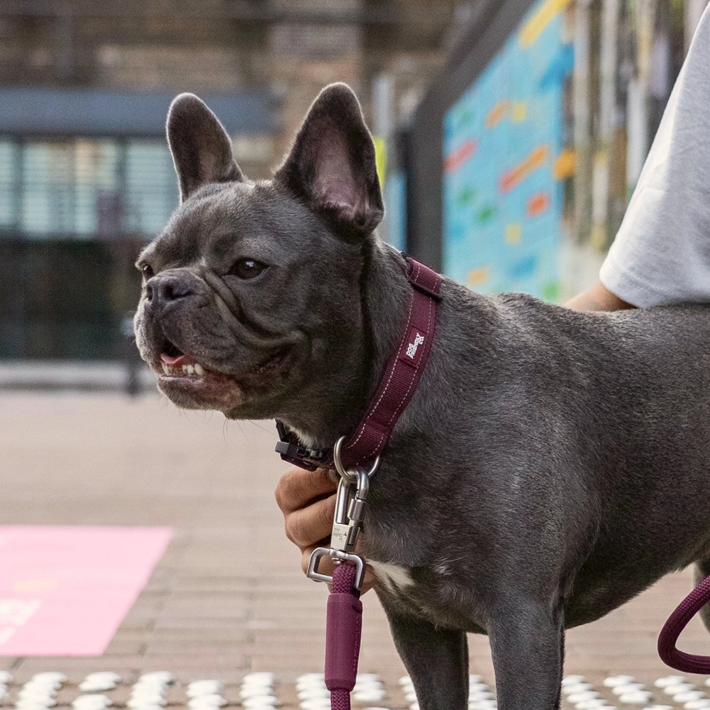 Tactical Dog Collar - Burgundy