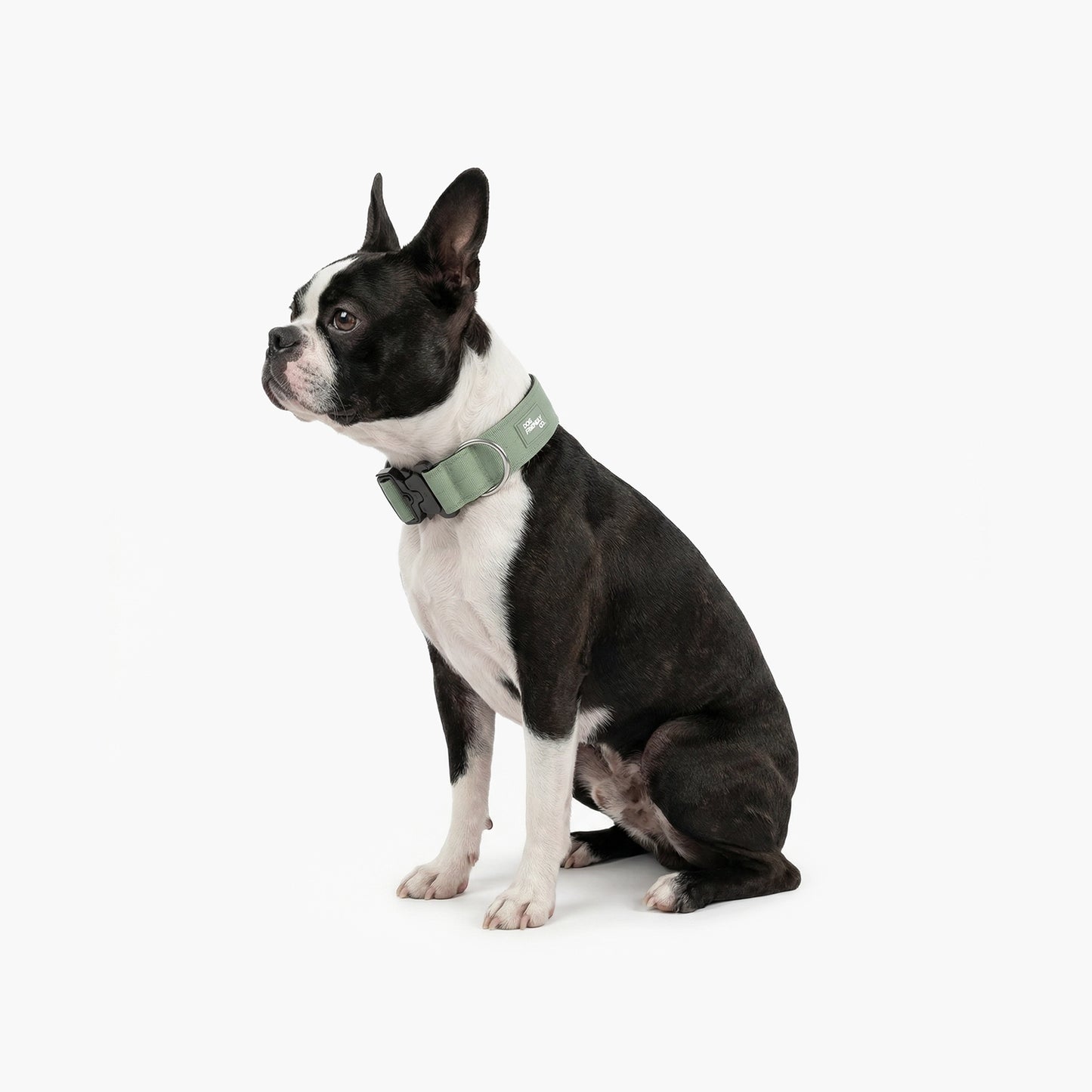 Tactical Dog Collar - Khaki