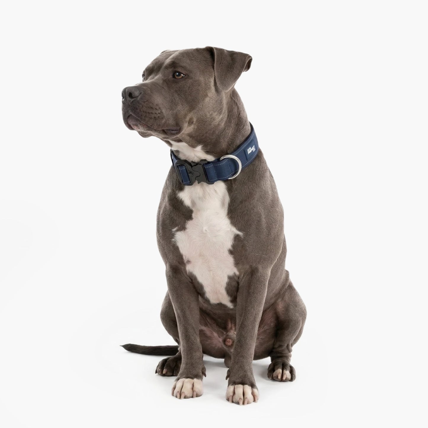 Tactical Dog Collar - Navy Blue