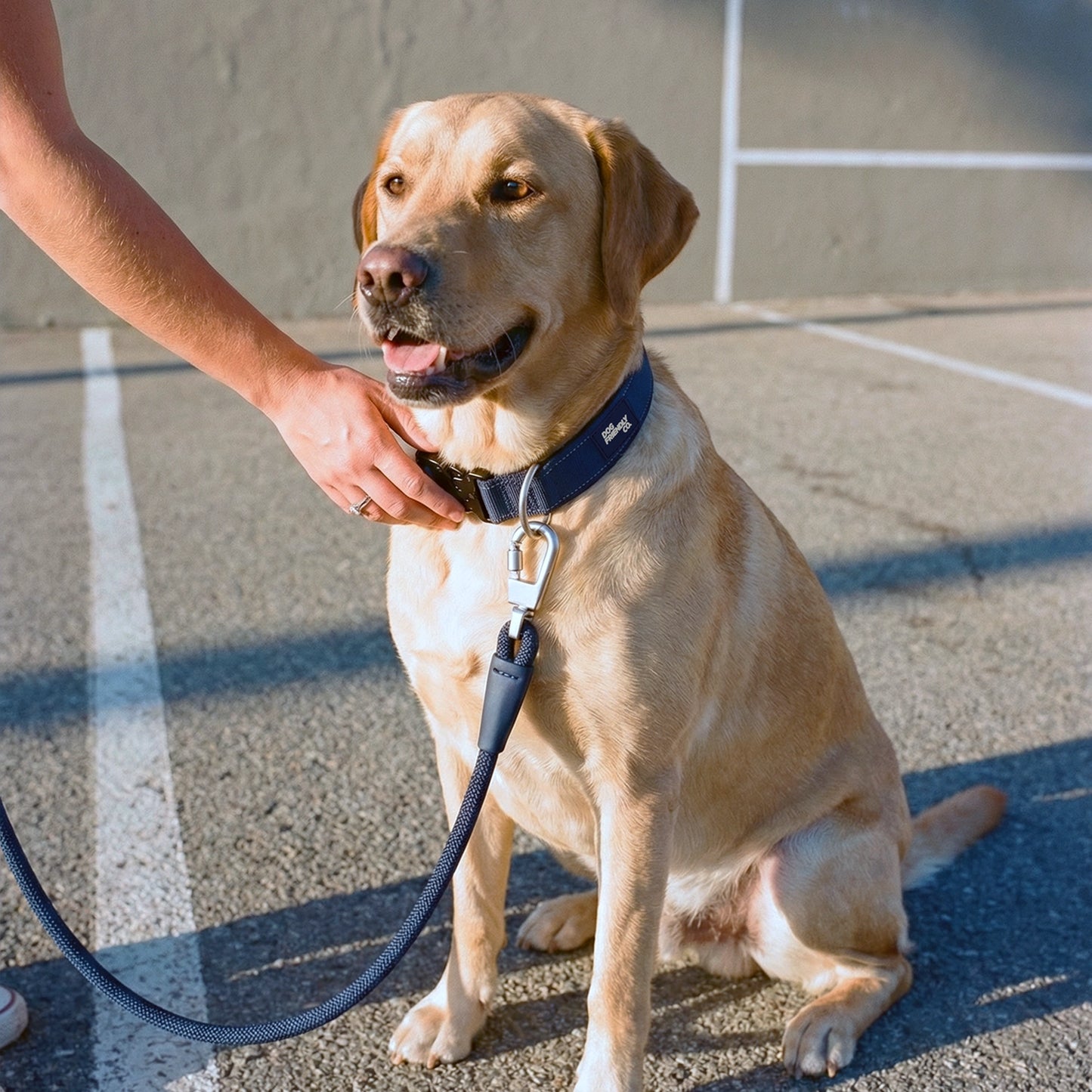 Tactical Dog Collar - Navy Blue