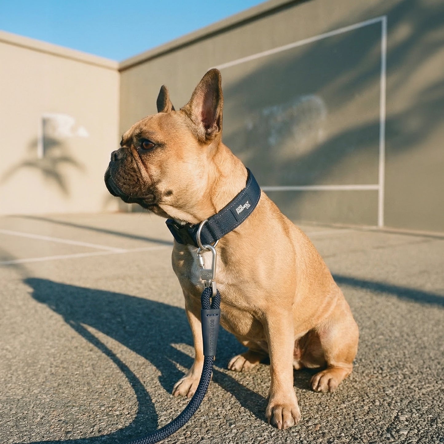 Tactical Dog Collar - Navy Blue