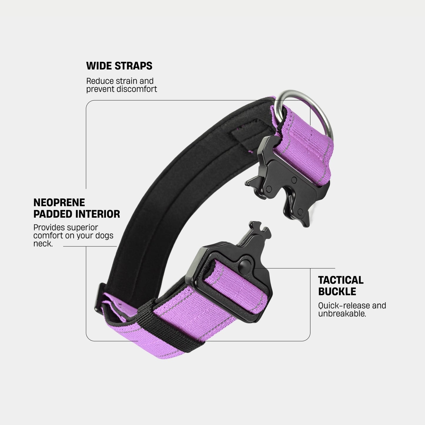 Tactical Dog Collar - Purple
