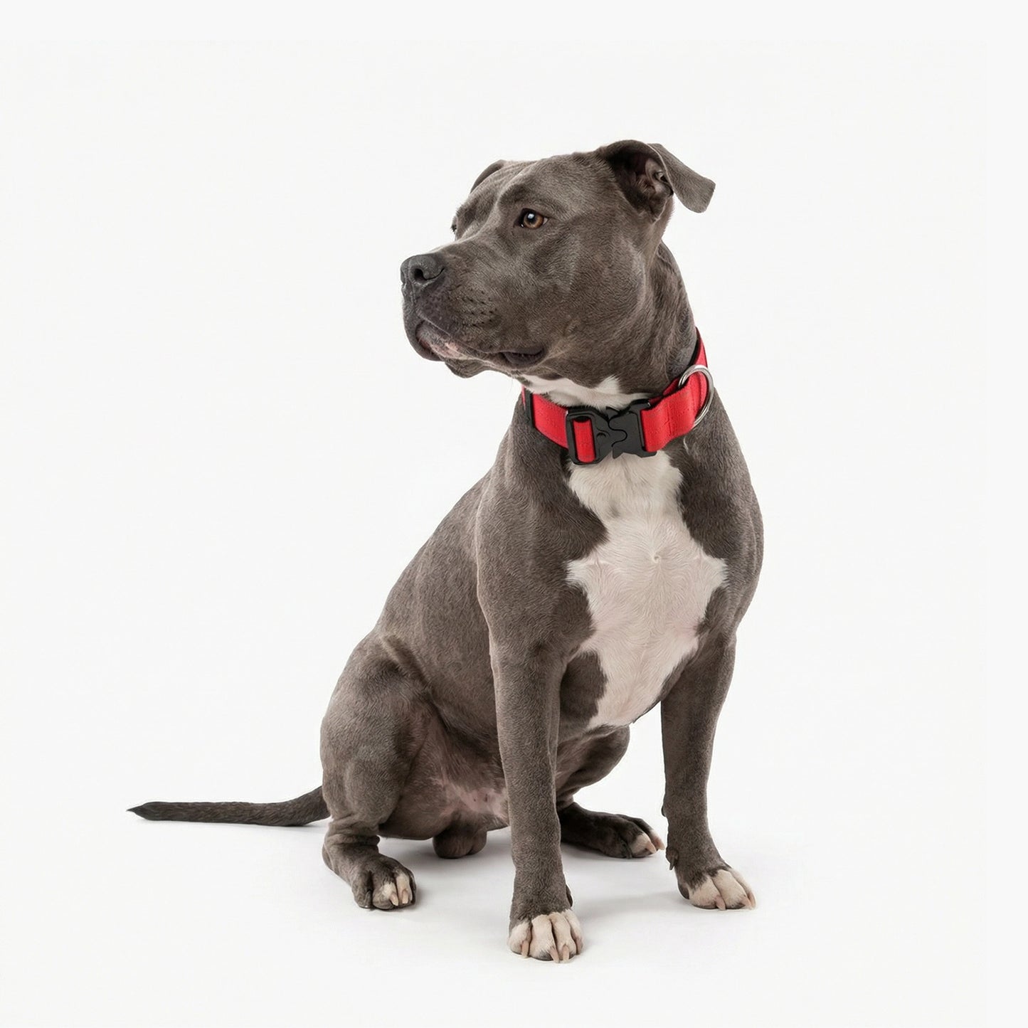 Tactical Dog Collar - Red