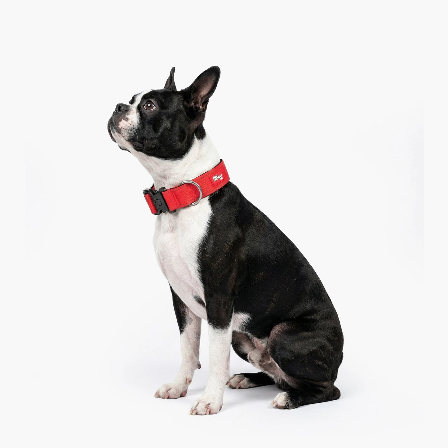 Tactical Dog Collar - Red
