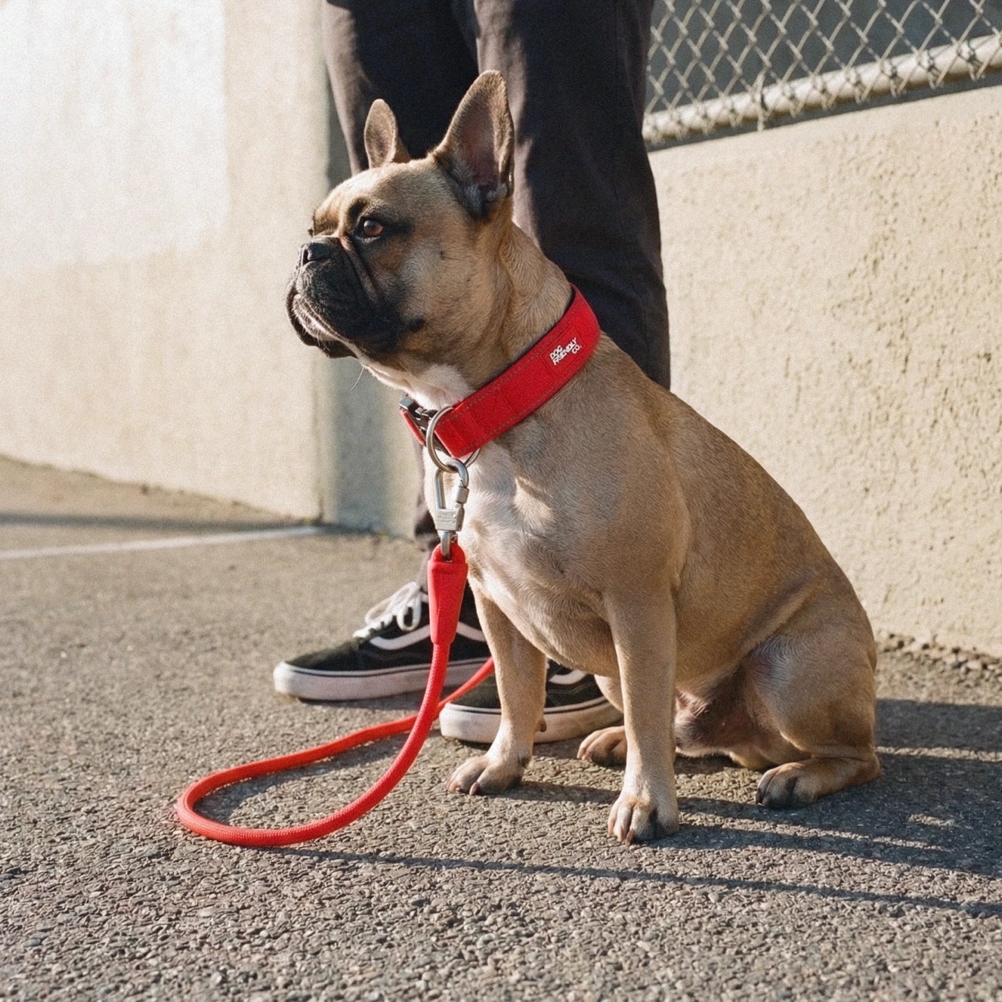 Tactical Dog Collar - Red