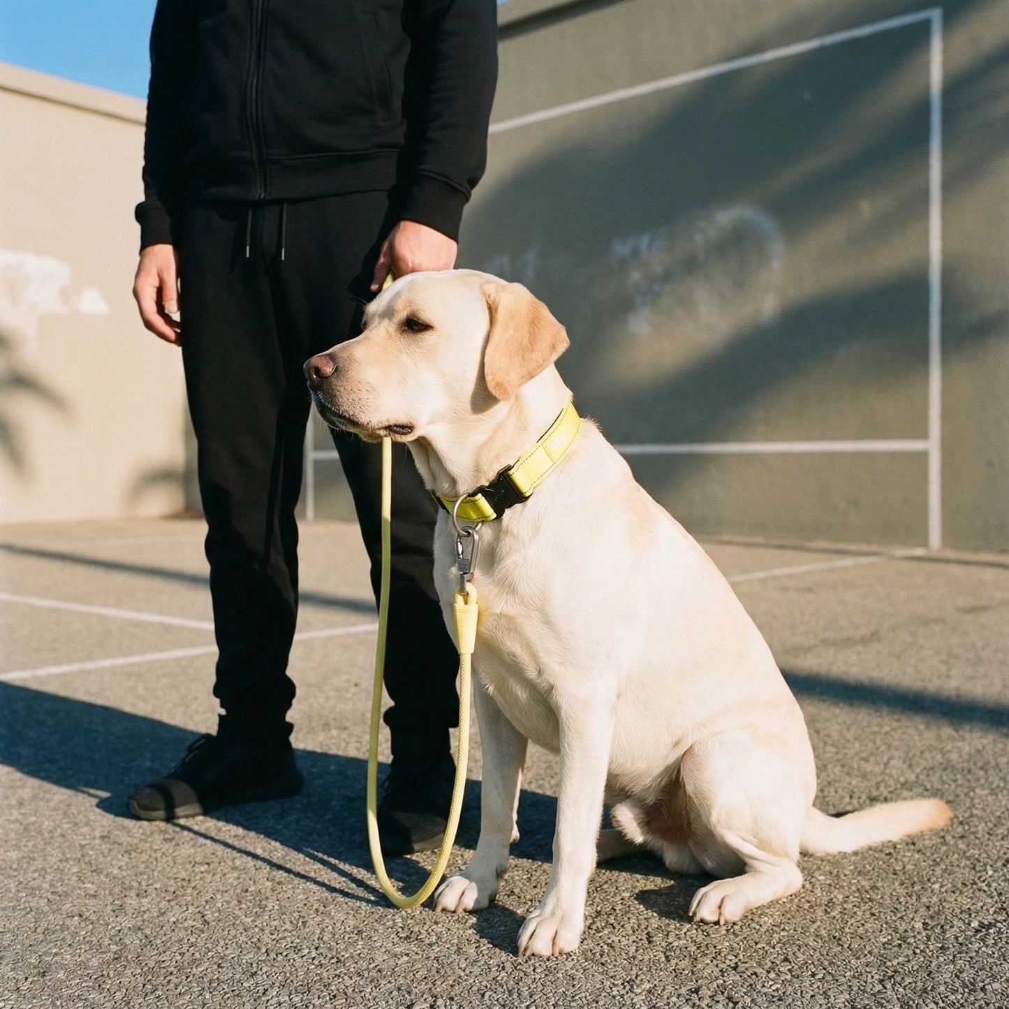 Tactical Dog Collar - Yellow