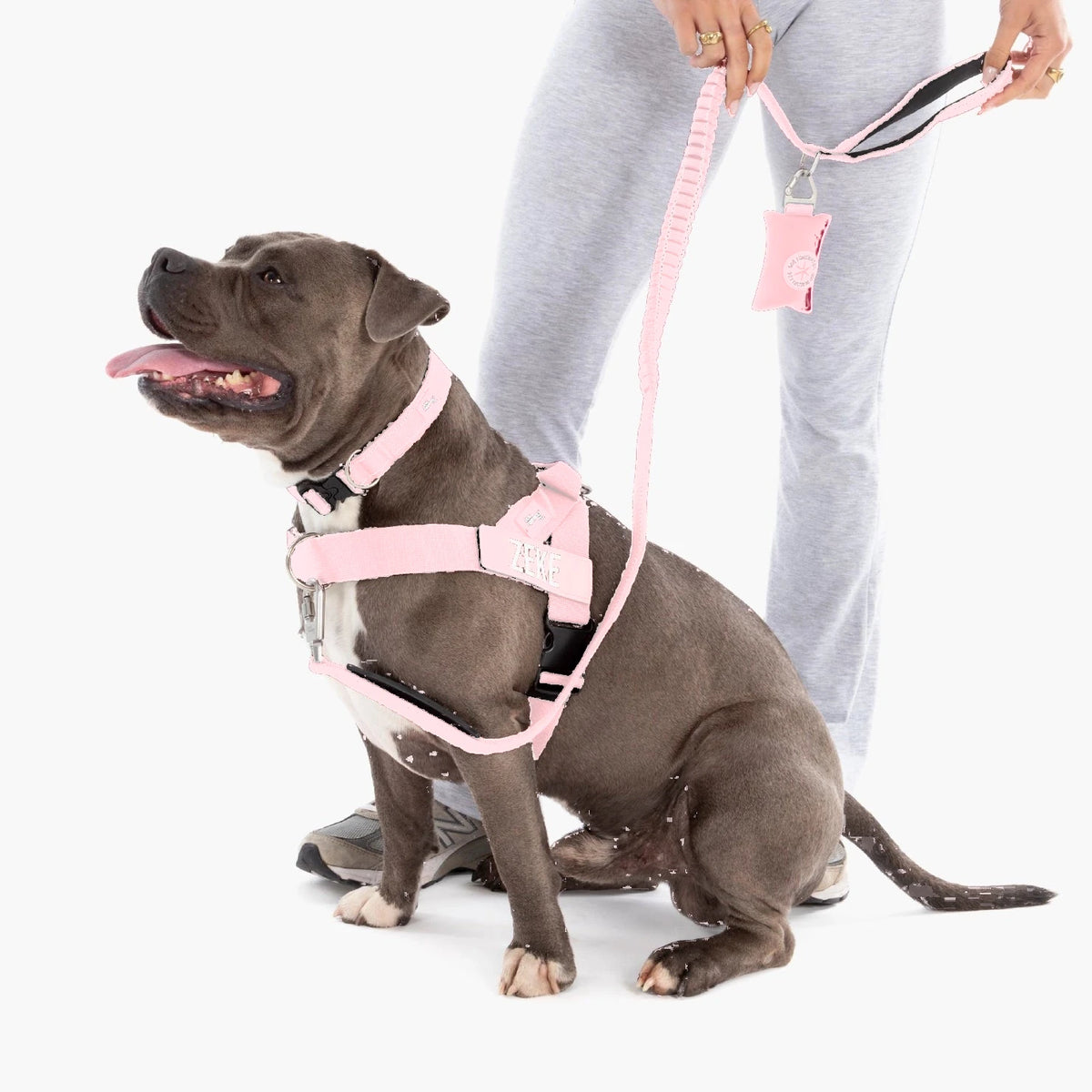 Staffy in the Sakura harness with the name ZEKE, Sakura collar and bungee leash; the owner holds the poop bag holder