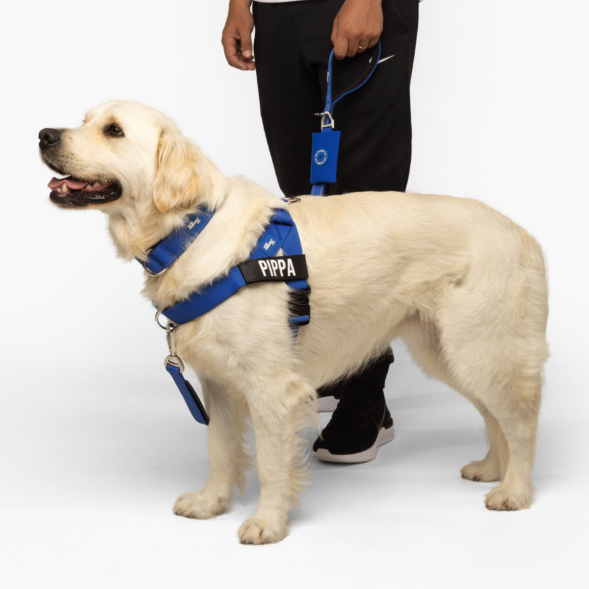 Dog Lovers Pack - Classic Blue