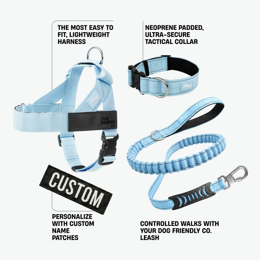 Dog Lovers Pack - Sky Blue