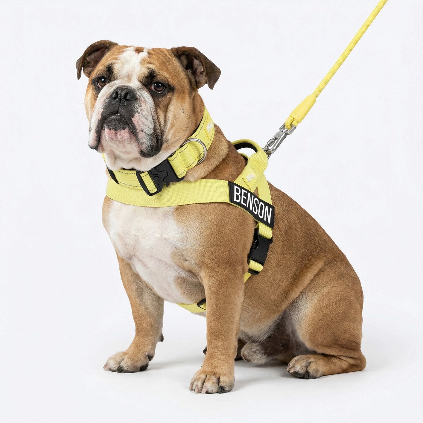 Dog Lovers Pack - Yellow