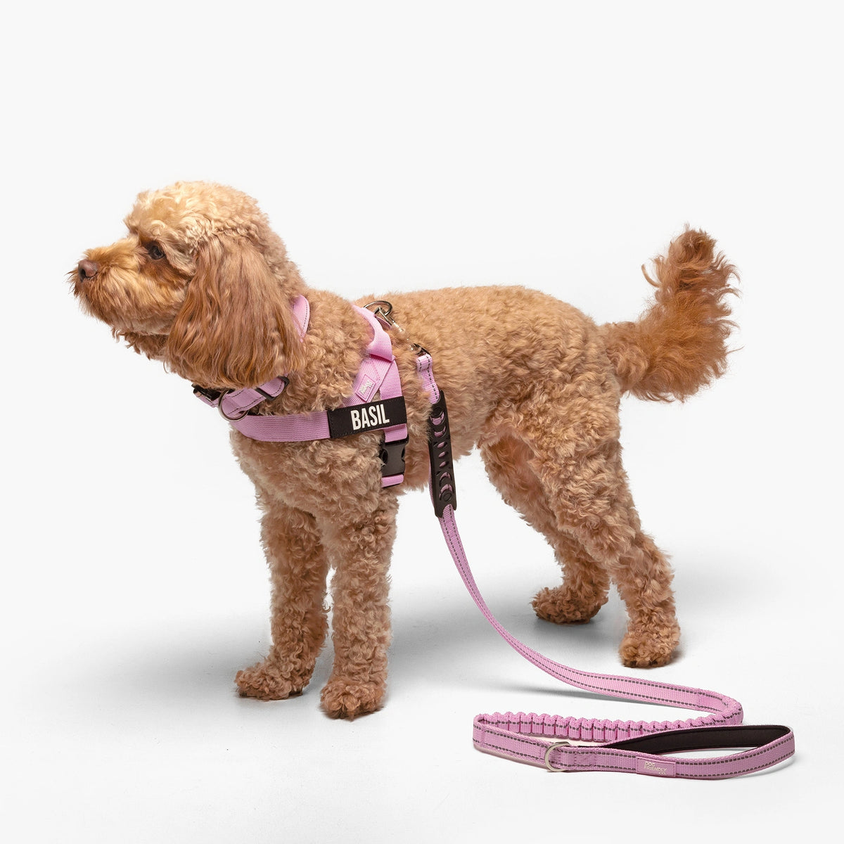 Dog Lovers Pack - Pink