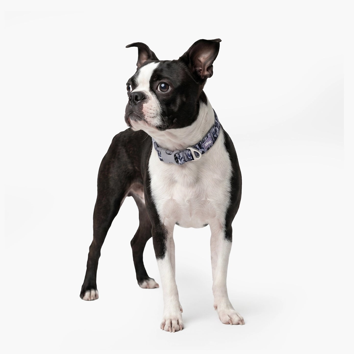 Essentials Collar - Grey Camo